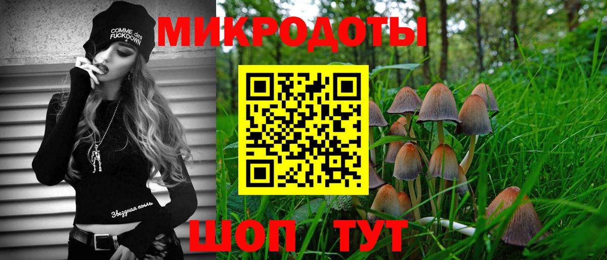 Бийск  Галлюциногенные грибы прущие грибы  Псилоцибиновые грибы Cubensis  Вход с VPN 