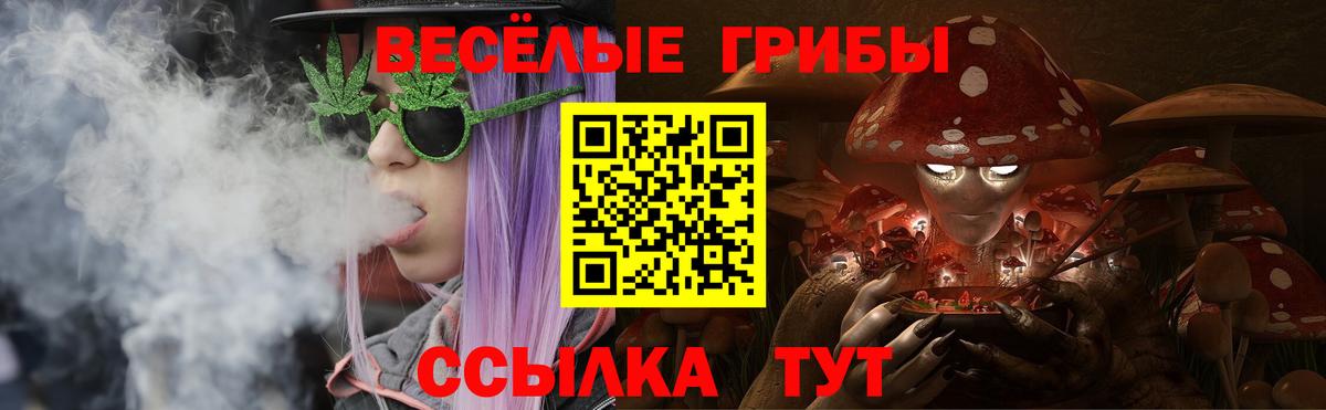 Галлюциногенные грибы Psilocybe Бийск